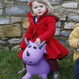 Purple Triceratops - souzu.co.uk