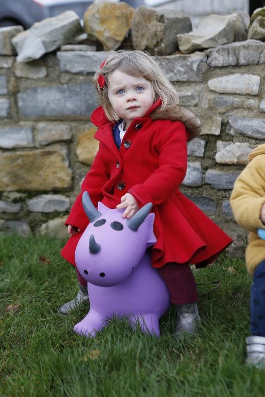 Purple Triceratops - souzu.co.uk