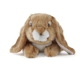 Living Nature Brown Lop Eared Rabbit