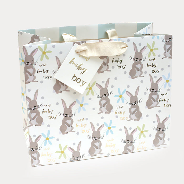 Bunny New Baby Boy Landscape Gift Bag