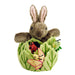 Rabbit in a Lettuce Hide away Puppet - souzu.co.uk