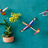 Cool classic plane – Small Robin Plane