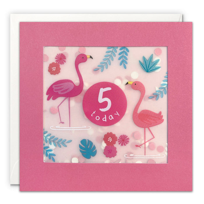 Age 5 Flamingos Shakies Birthday Card