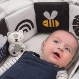 Savannah Black & White book