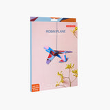 Cool classic plane – Small Robin Plane