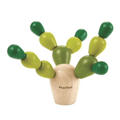 Balancing Cactus - souzu.co.uk